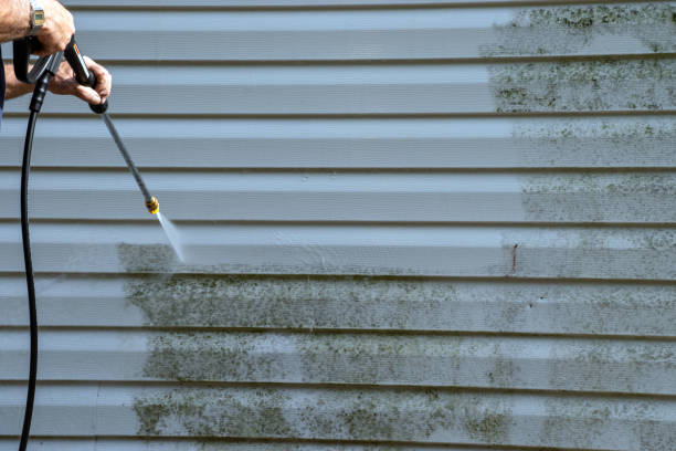 Best Siding for New Construction  in Victoria, MS