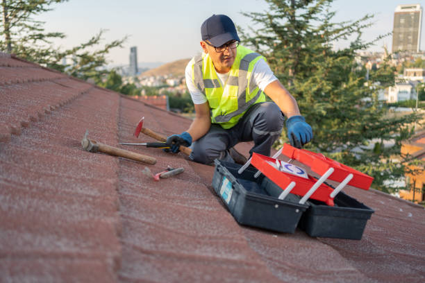 Professional Siding Installation & Repair in Victoria, MS